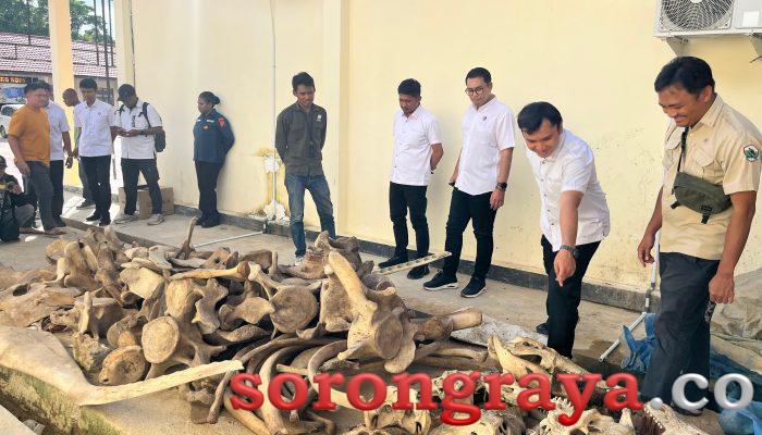 Ditreskrimsus Ungkap Aktivitas Ilegal Terhadap Satwa Dilindungi