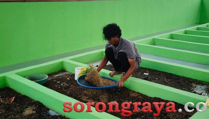 DLH Papua Barat Daya Resmikan Rumah Maggot, Solusi Pengolahan Sampah Organik