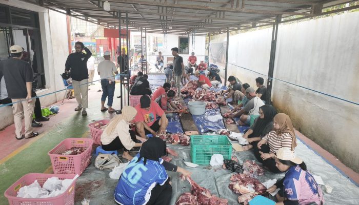 Pertamina Patra Niaga Papua Maluku Salurkan Hewan Kurban untuk Masyarakat