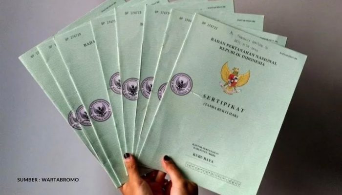 Kenali Prosedur dan Syarat Pemisahan Bidang Tanah