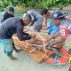 Jaga Ekosistem Pulau Kawei, PT KSM Bersama Masyarakat Adat Tanam Pohon Mangrove 