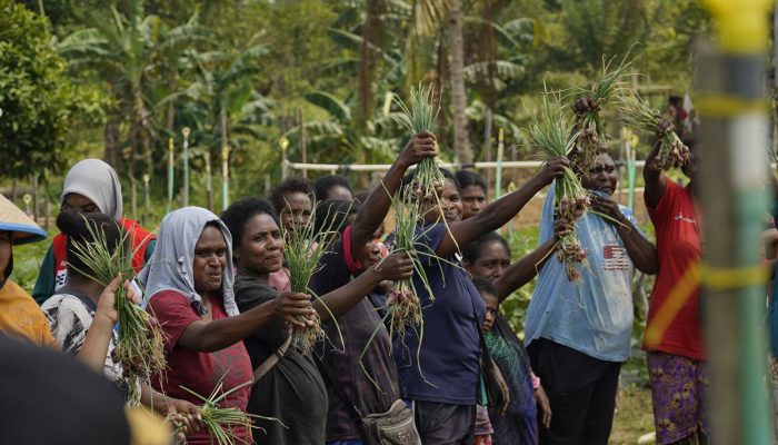 Pertamina Kilang Kasim Dampingi Petani Klayas Sukseskan Panen Raya