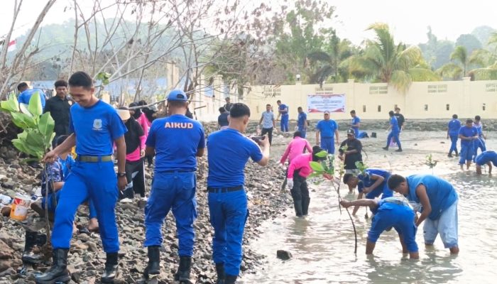 Jaga Ekosistem Laut, Ditpolairud Polda PBD Bersama Bhayangkari dan Masyarakat Tanam Bibit Mangrove