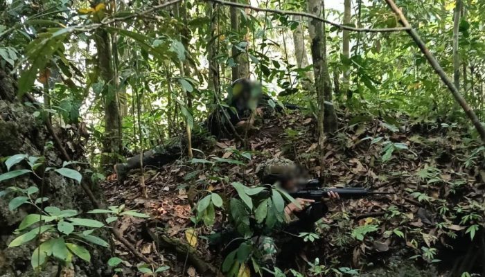Kontak Tembak di Maybrat, Tiga Anggota OPM  Meninggal Dunia