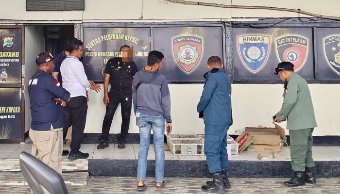 Ditpolairud Polda PBD Amankan 21 ekor burung nuri di KM Sinabung